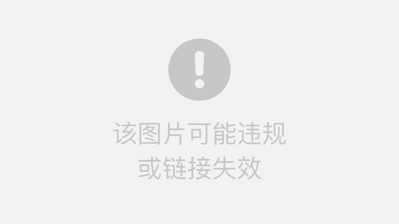 辽宁SEO研究学院阜新建材转化案例拆解：如何让网站流量轻松变订单