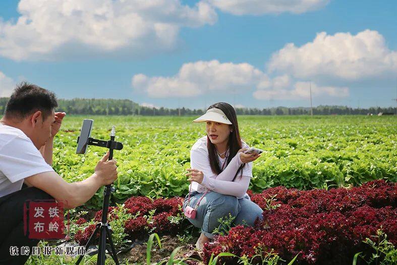 辽宁SEO研究学院铁岭农业本地词案例拆解：精准优化，让铁岭农产品轻松触达本地客户